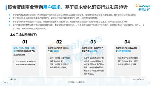 透视用户需求深挖服务潜力 2022中国商业查询行业洞察